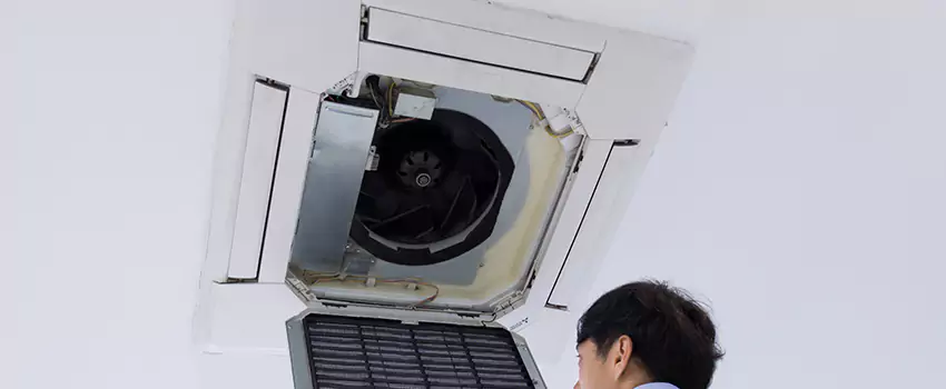 Benefits of Professional Air Duct Cleaning in Perry Hall, Maryland