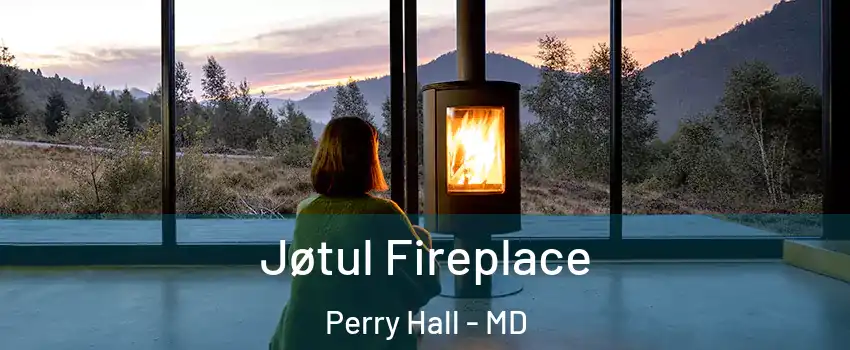  Jøtul Fireplace Perry Hall - MD