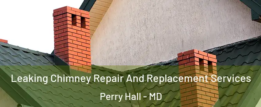  Leaking Chimney Repair And Replacement Services Perry Hall - MD