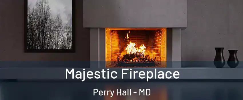  Majestic Fireplace Perry Hall - MD