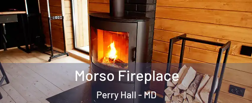  Morso Fireplace Perry Hall - MD