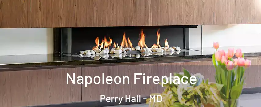  Napoleon Fireplace Perry Hall - MD