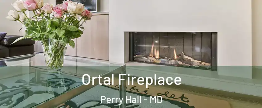 Ortal Fireplace Perry Hall - MD