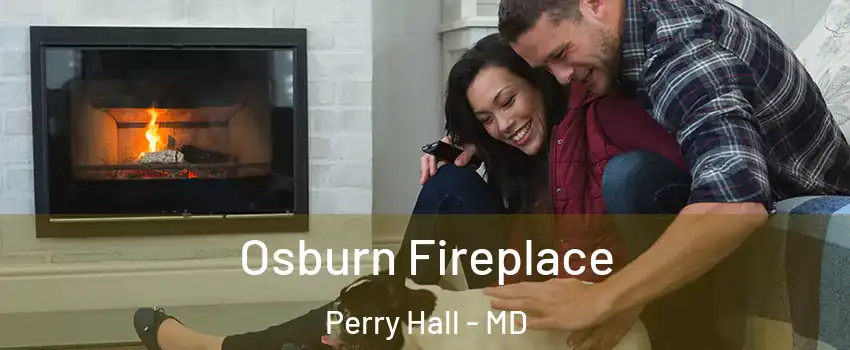  Osburn Fireplace Perry Hall - MD