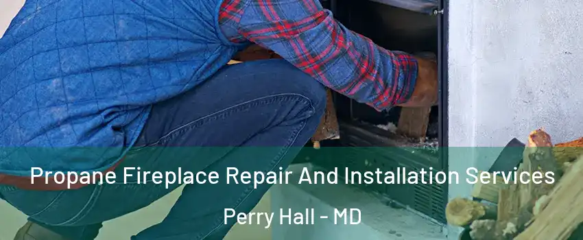  Propane Fireplace Repair And Installation Services Perry Hall - MD