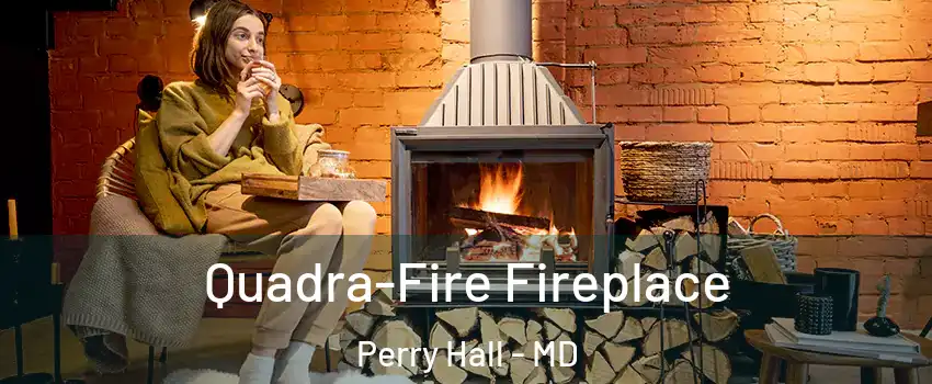  Quadra-Fire Fireplace Perry Hall - MD