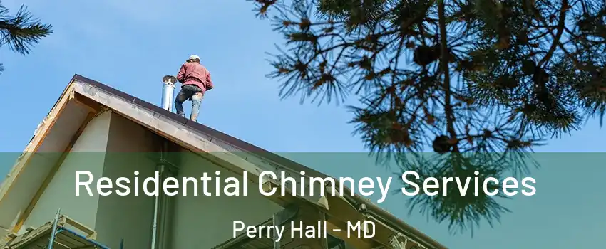  Residential Chimney Services Perry Hall - MD