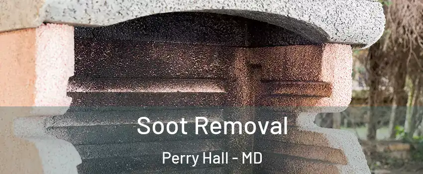  Soot Removal Perry Hall - MD