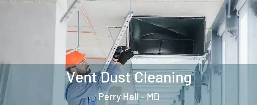  Vent Dust Cleaning Perry Hall - MD